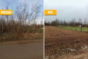 Profesjonalne karczowanie działek i mulczowanie działek – przygotowanie terenu pod inwestycje. Usuwamy drzewa, krzewy i chwasty, odsłaniając rzeczywisty kształt działki. Kompleksowe mulczowanie i karczowanie działek zapewnia porządek oraz gotowość terenu pod budowę i inne projekty. Skontaktuj się z SBZ Usługi!