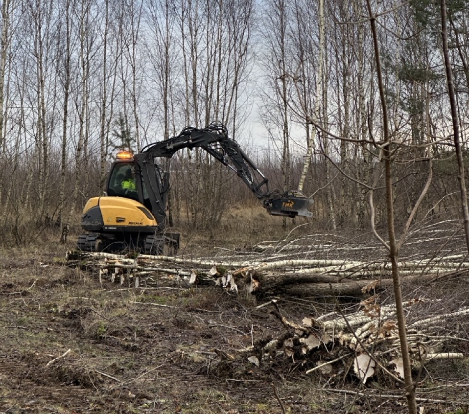 Wycinka drzew Pomorskie Kaszuby – SBZ Usługi koparka i podnośnik