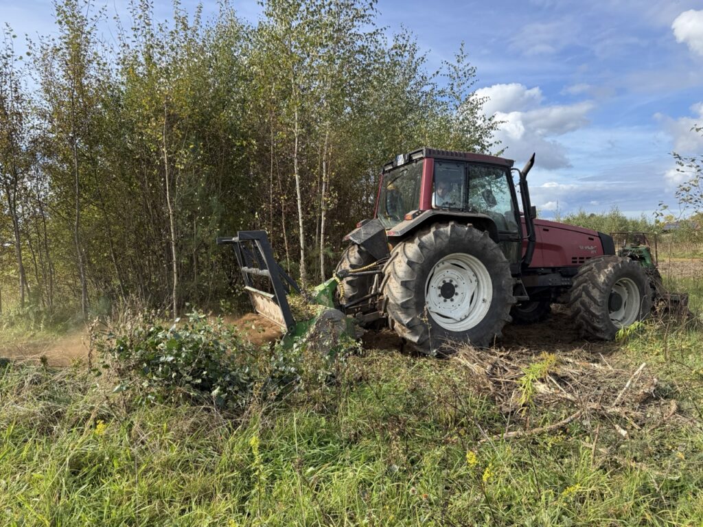 oczyszczanie terenu kaszuby - mulczowanie terenu pomorskie mulczerem leśnym terenu i karczowanie samosiejek